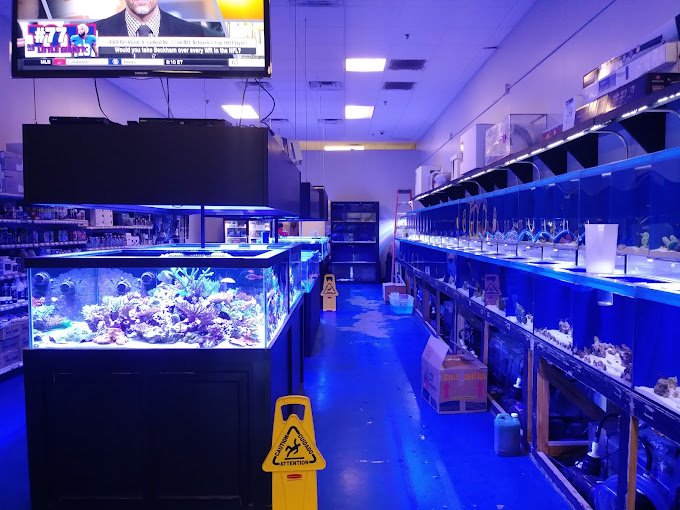Coral Logic Aquarium LLC