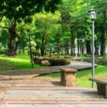 Best Parks Near Albuquerque