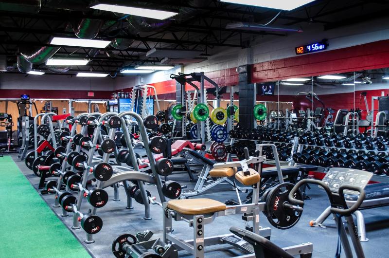 Sought-After Personal Fitness Trainer  Near Me – Temple Terrace  FL
 thumbnail