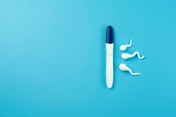 Male Fertility