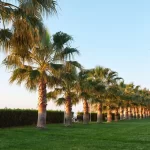 Palm Desert Real Estate