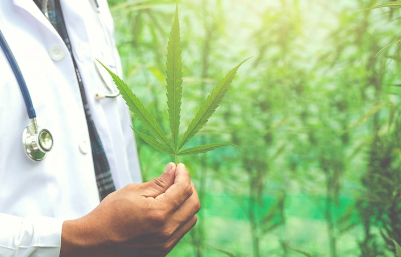 Medical Marijuana for Mental Health