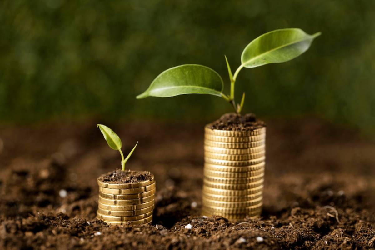 Mutual Fund