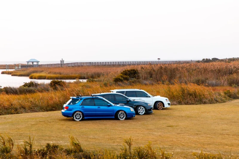 Best Year Yet for Family Travel