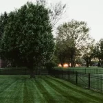 Backyard Transformations