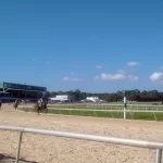 Florida Horses Racing Travel Guide