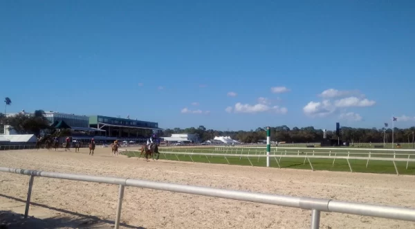 Florida Horses Racing Travel Guide