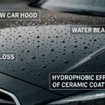 Reasons Detailers Prefer Ceramic Coating for Show Cars